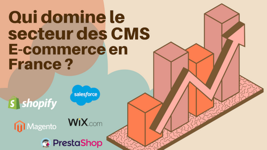Qui domine le secteur des CMS e-commerce en France ?